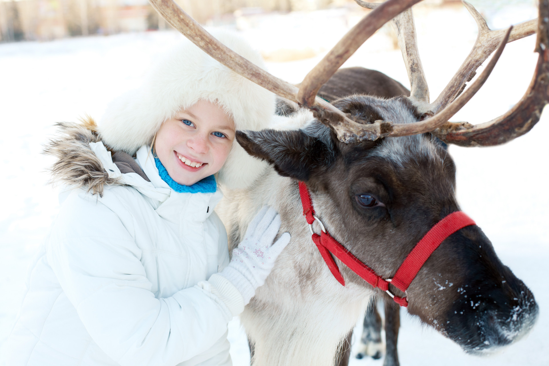 Lapônia: conheça os encantos da terra do Papai Noel