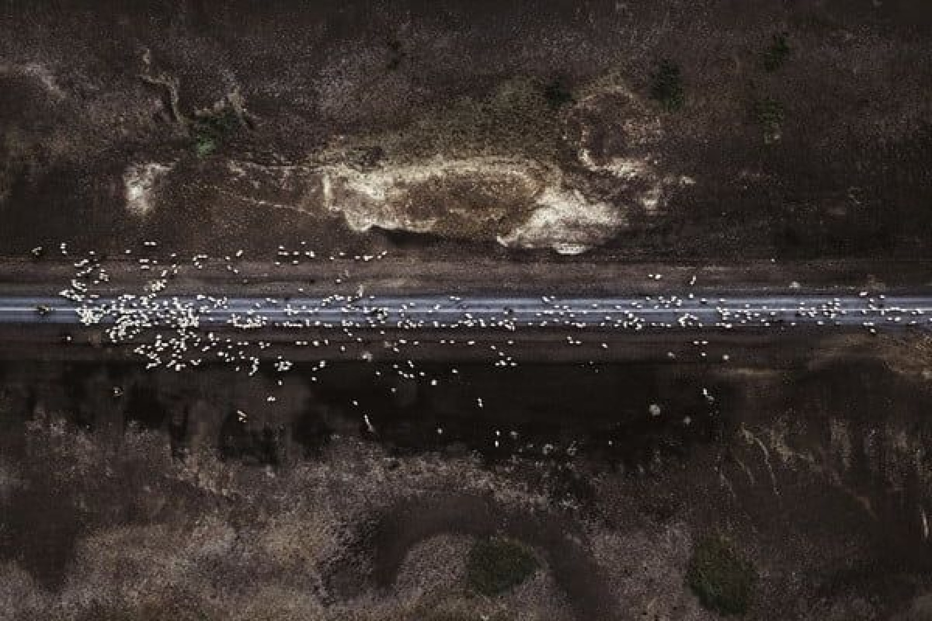 Veja fotografias belíssimas feitas por drones
