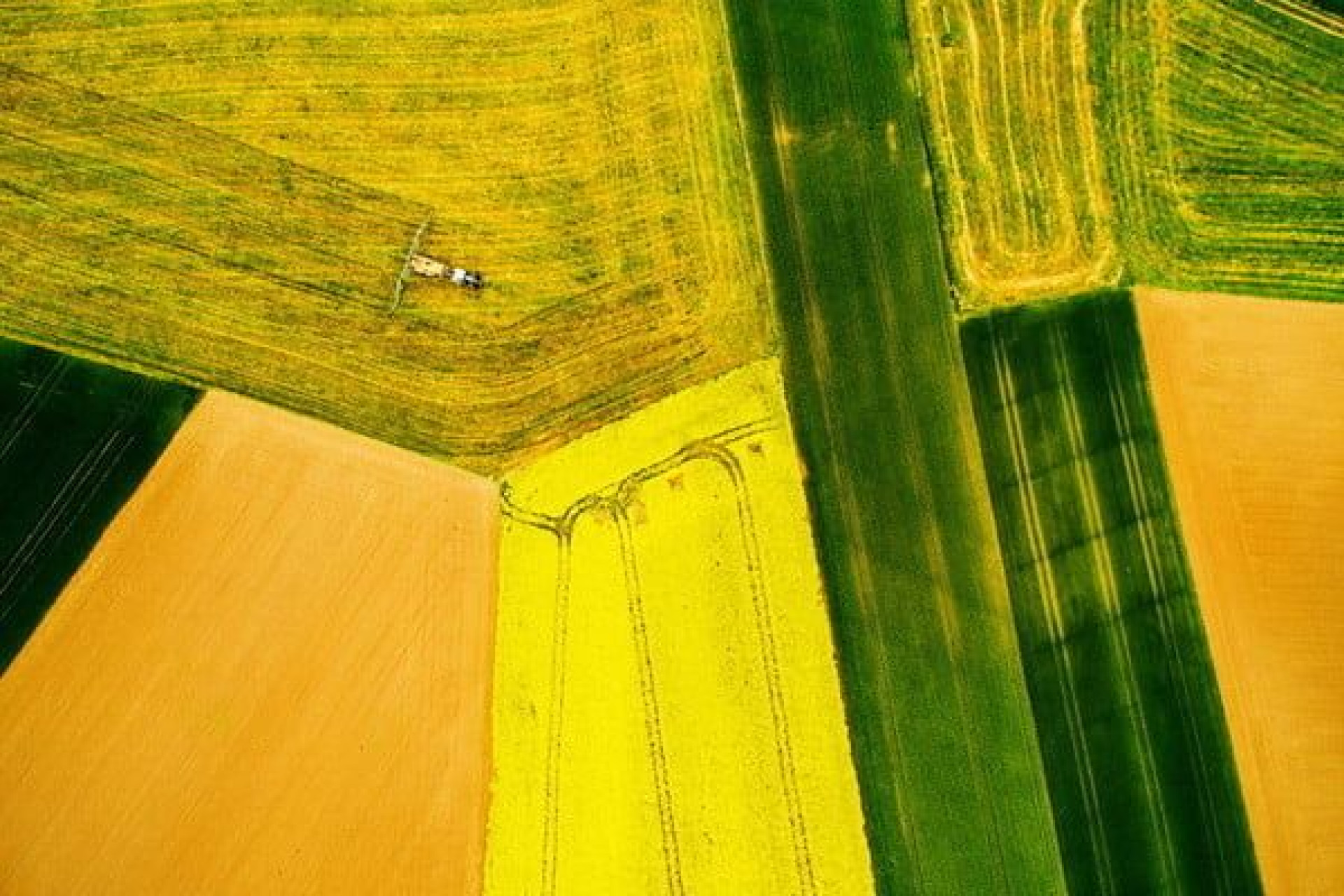 Veja fotografias belíssimas feitas por drones