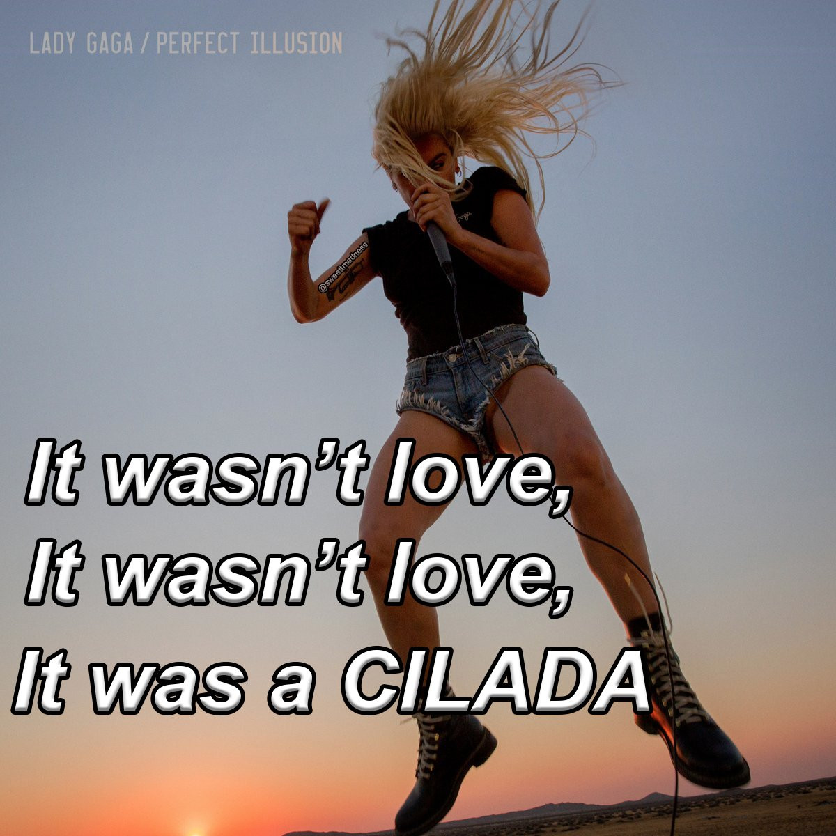 Resultado de imagem para meme perfect illusion